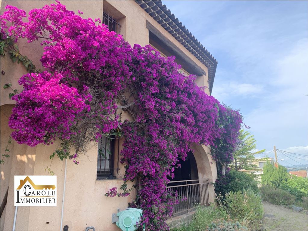 Achat Maison MANDELIEU LA NAPOULE