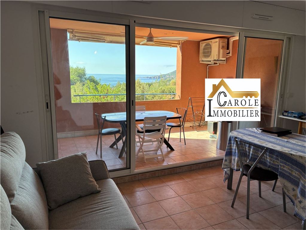 Achat Appartement T2 THEOULE SUR MER